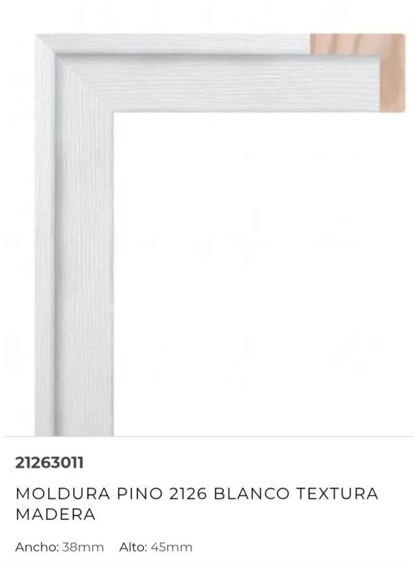 263-M - Imagen 6